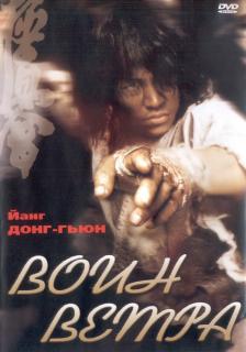 Воин ветра    / Baramui Fighter