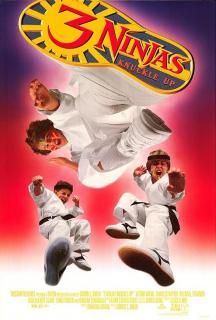 Три ниндзя: Костяшки вверх    / 3 Ninjas Knuckle Up